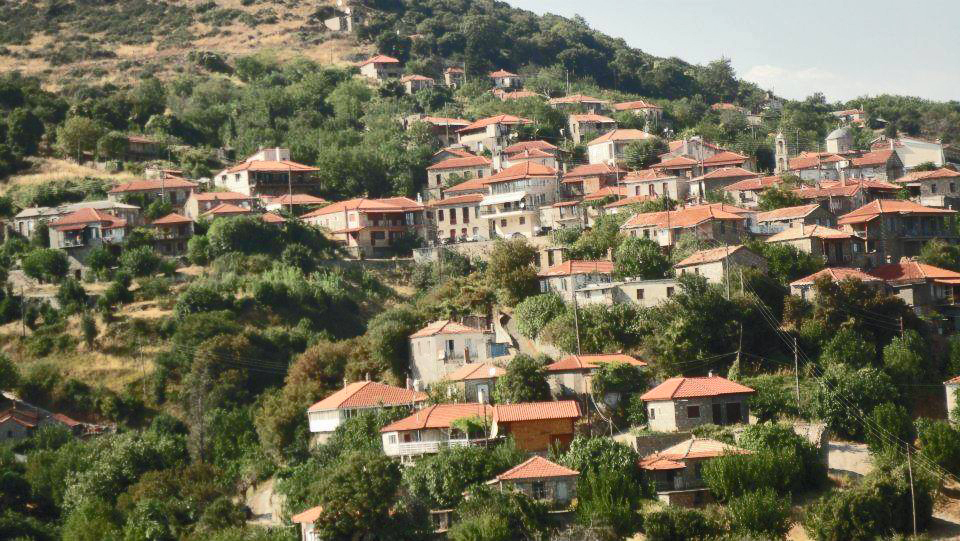 12037972 904950539552280 7572933654427010896 n