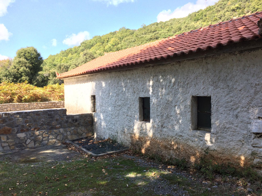 44197107 340585556766811 45