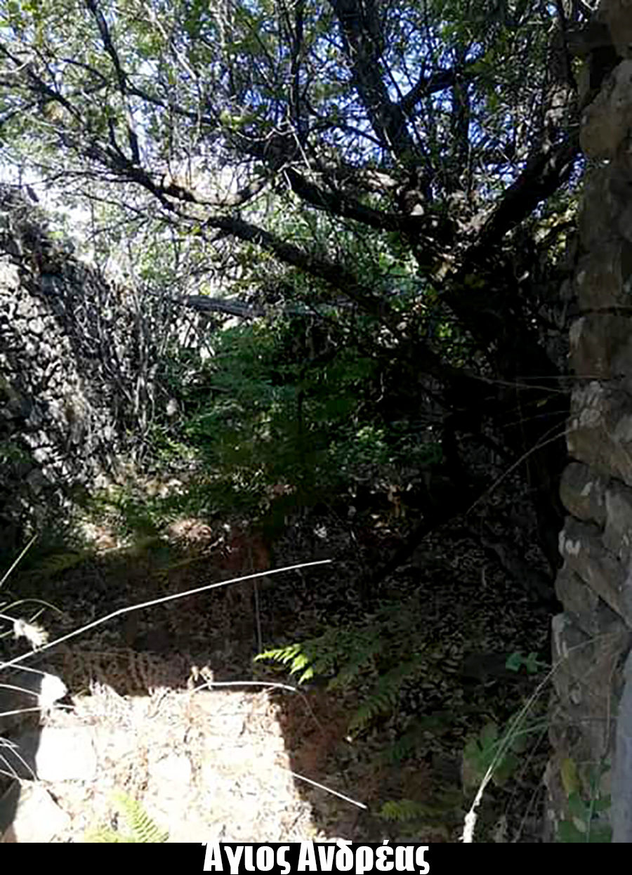 AG ANDREAS 1593147490013