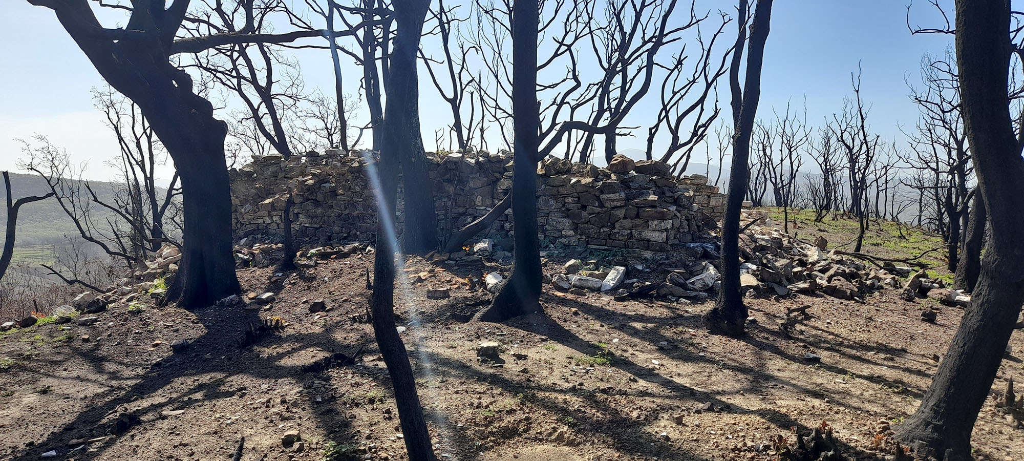 ΠΑΛΑΙΟΣ ΑΓ ΑΘΑΝΑΣΙΟΣ 20220423 103928α