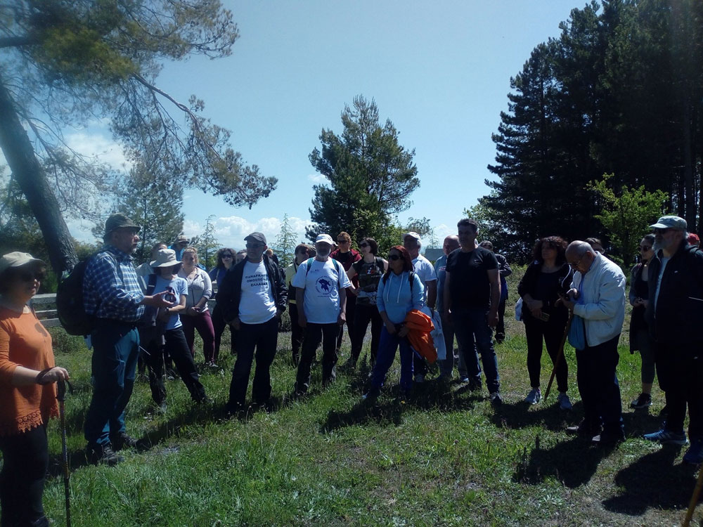 ΑΡΚΑΔΙΚΟ 2019 01