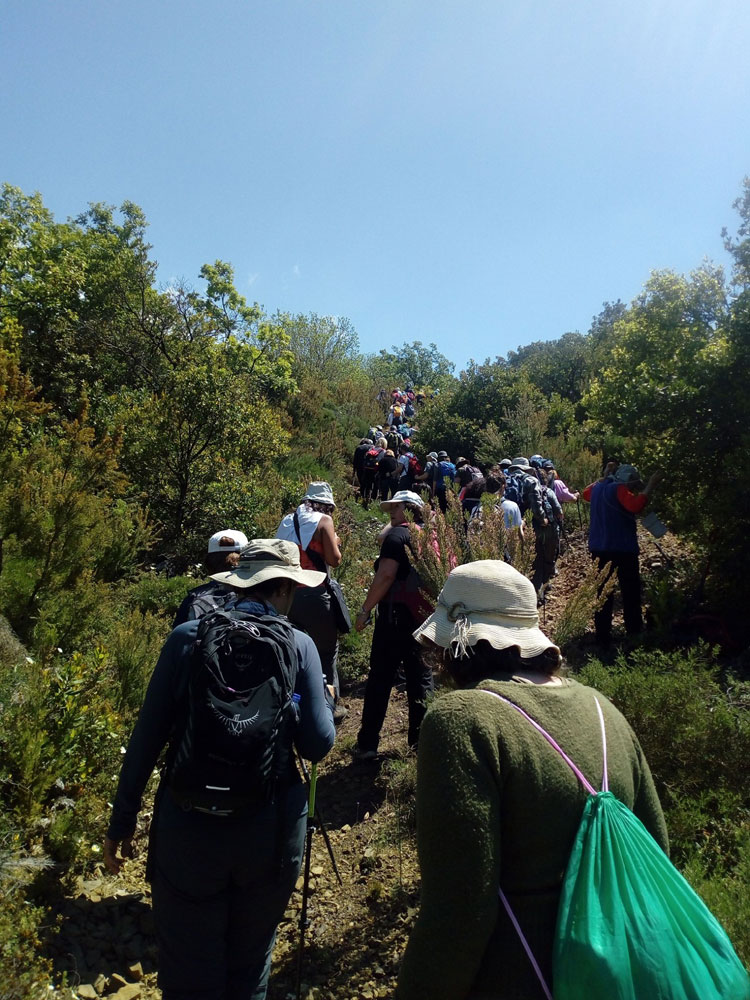 ΑΡΚΑΔΙΚΟ 2019 02