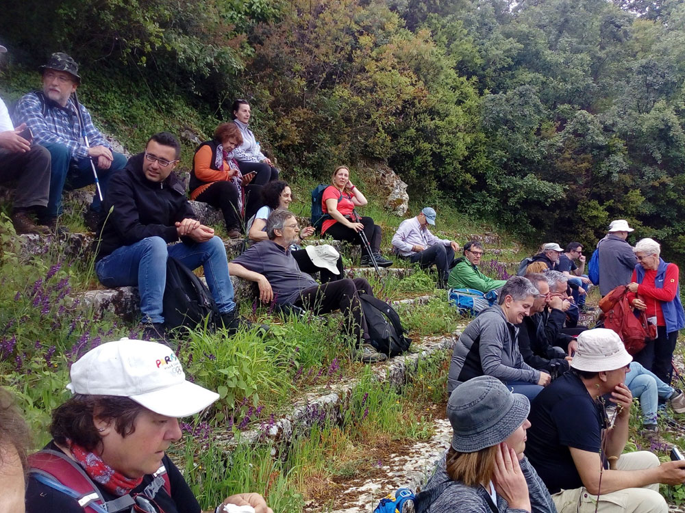 ΑΡΚΑΔΙΚΟ 2019 03