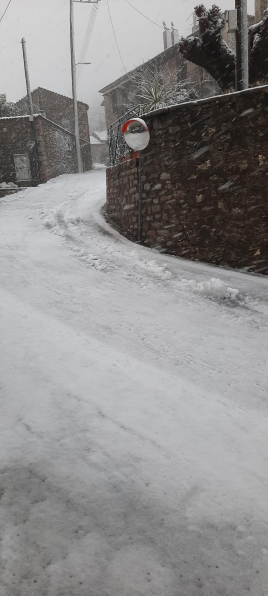 73402ac5 2c1b 4537 99f8 13c808d41d0e