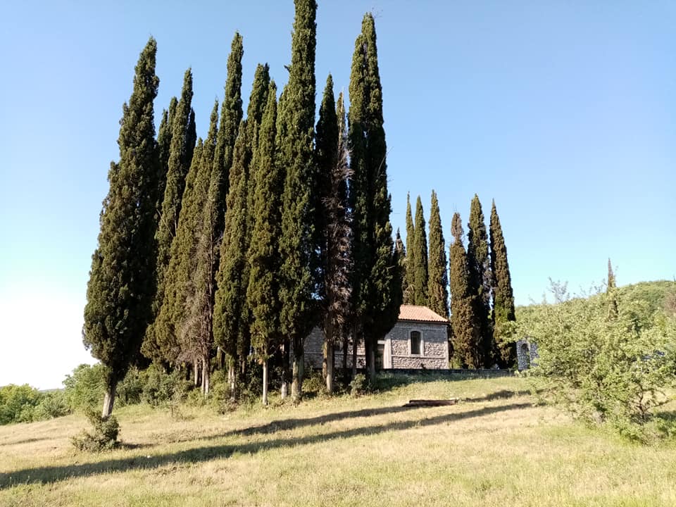 ΜΑΗΝΙΚΟΛΑ 00