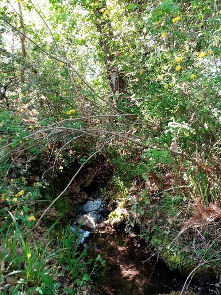 ΜΑΗΝΙΚΟΛΑ 07