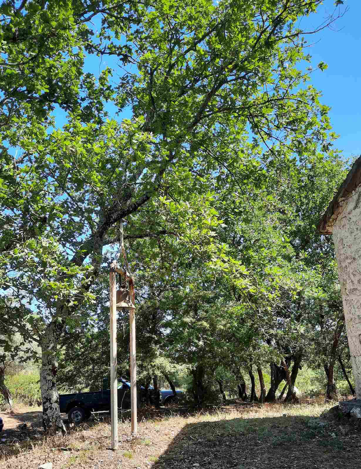 ΑΓΙΑ ΚΥΡΙΑΚΗ 2020071215