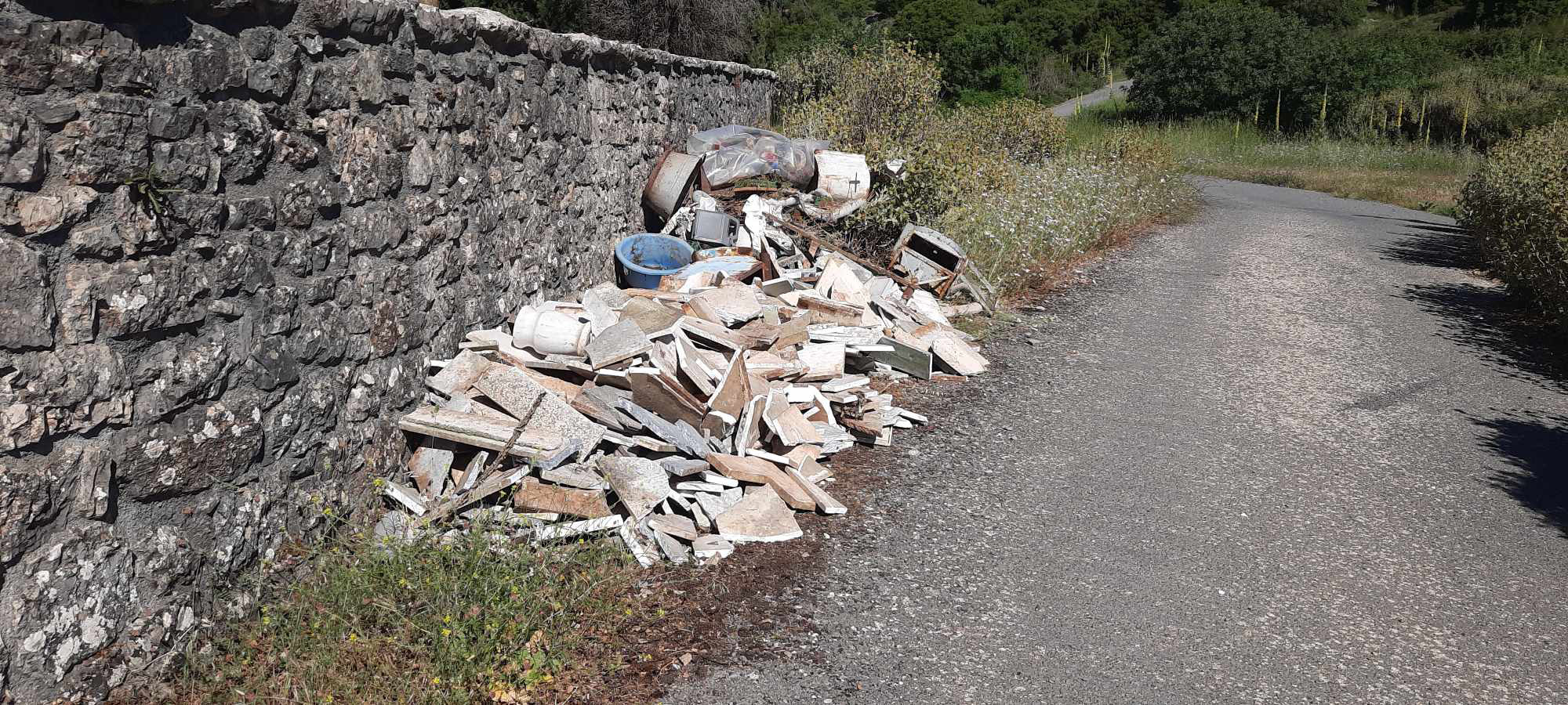 1ae527c4 7250 464f 9348 8b776a700f14