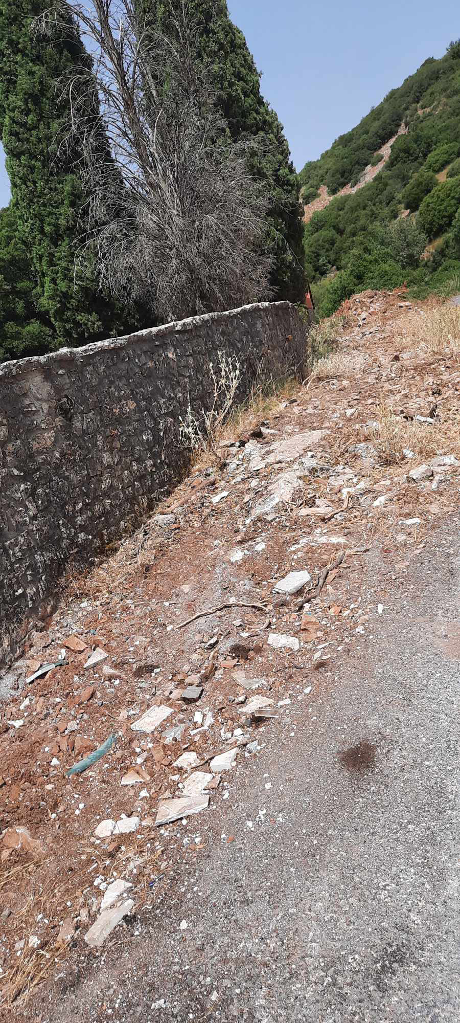 a5a519c9 463a 488e a2ef 7626c0f1f963