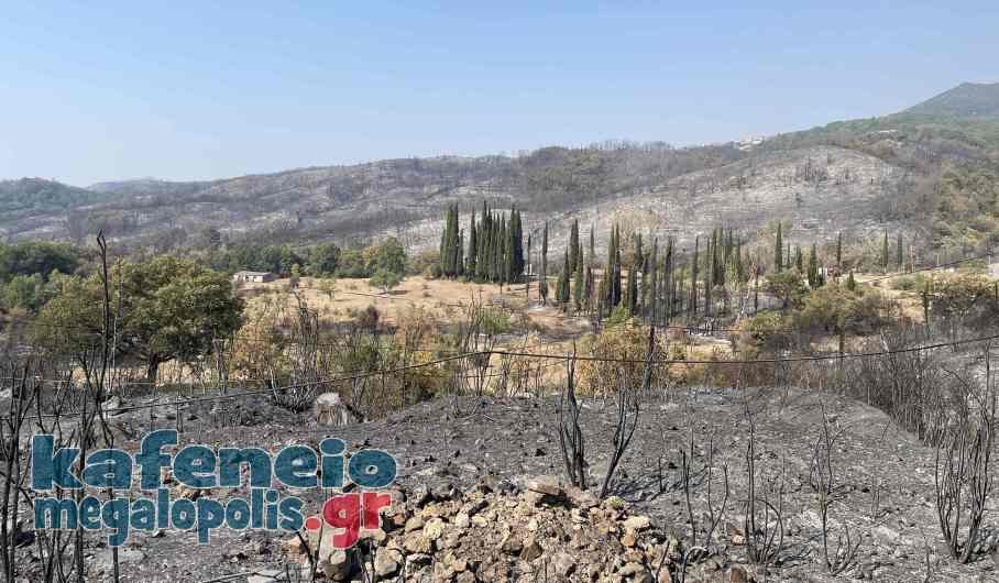 ΦΩΤΙΕΣ ΙΣΑΡΗ 202108ος 00