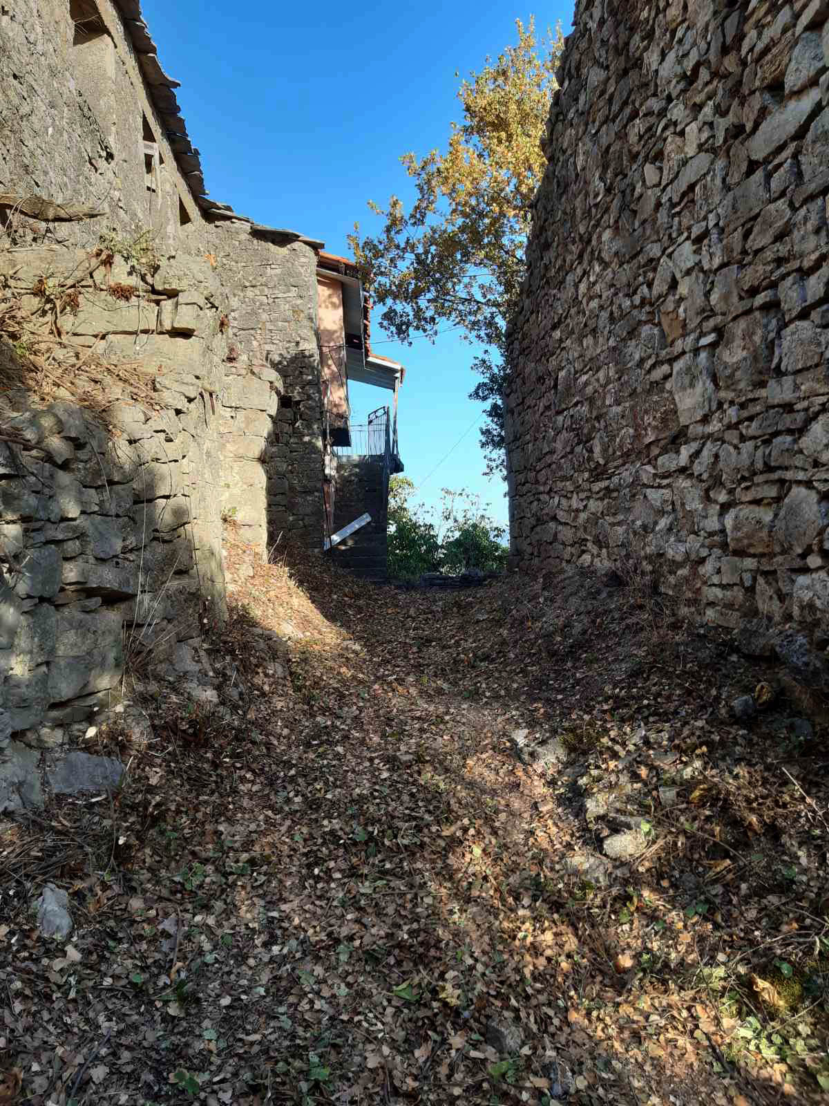 ΚΑΘΑΡΙΣΜΟΣ ΜΠΕΗ 00