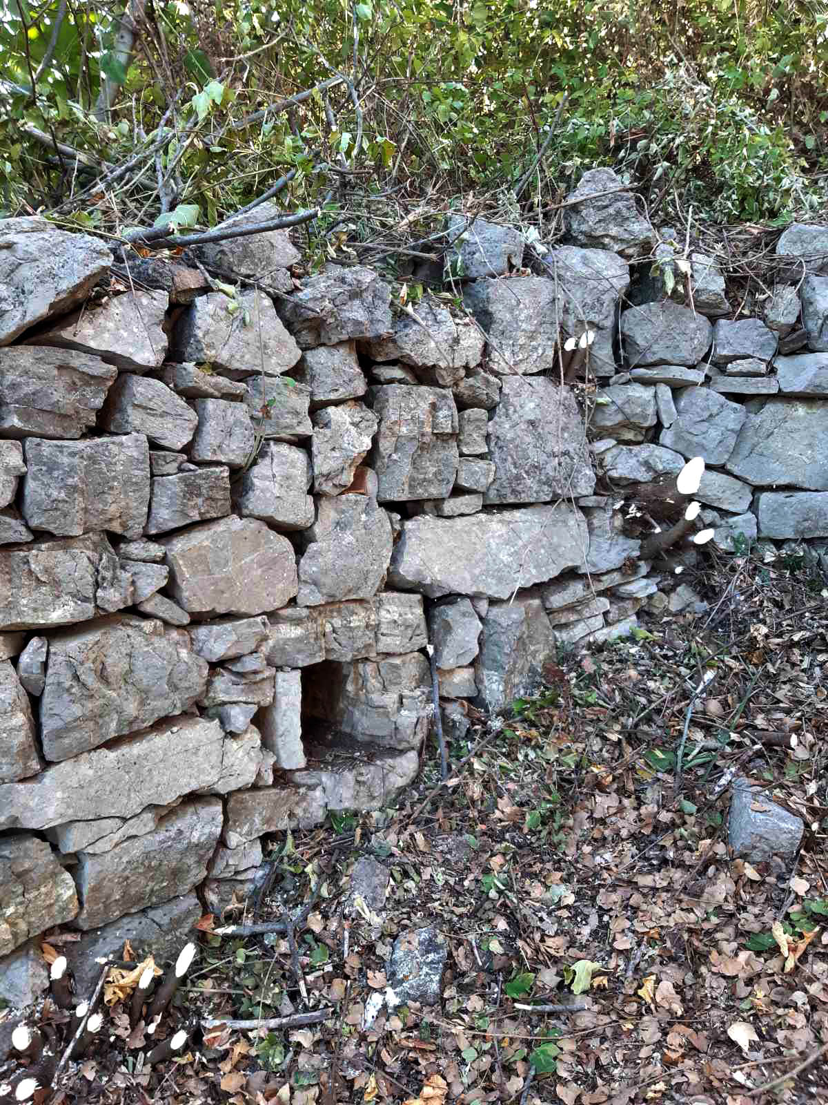 ΚΑΘΑΡΙΣΜΟΣ ΜΠΕΗ 01