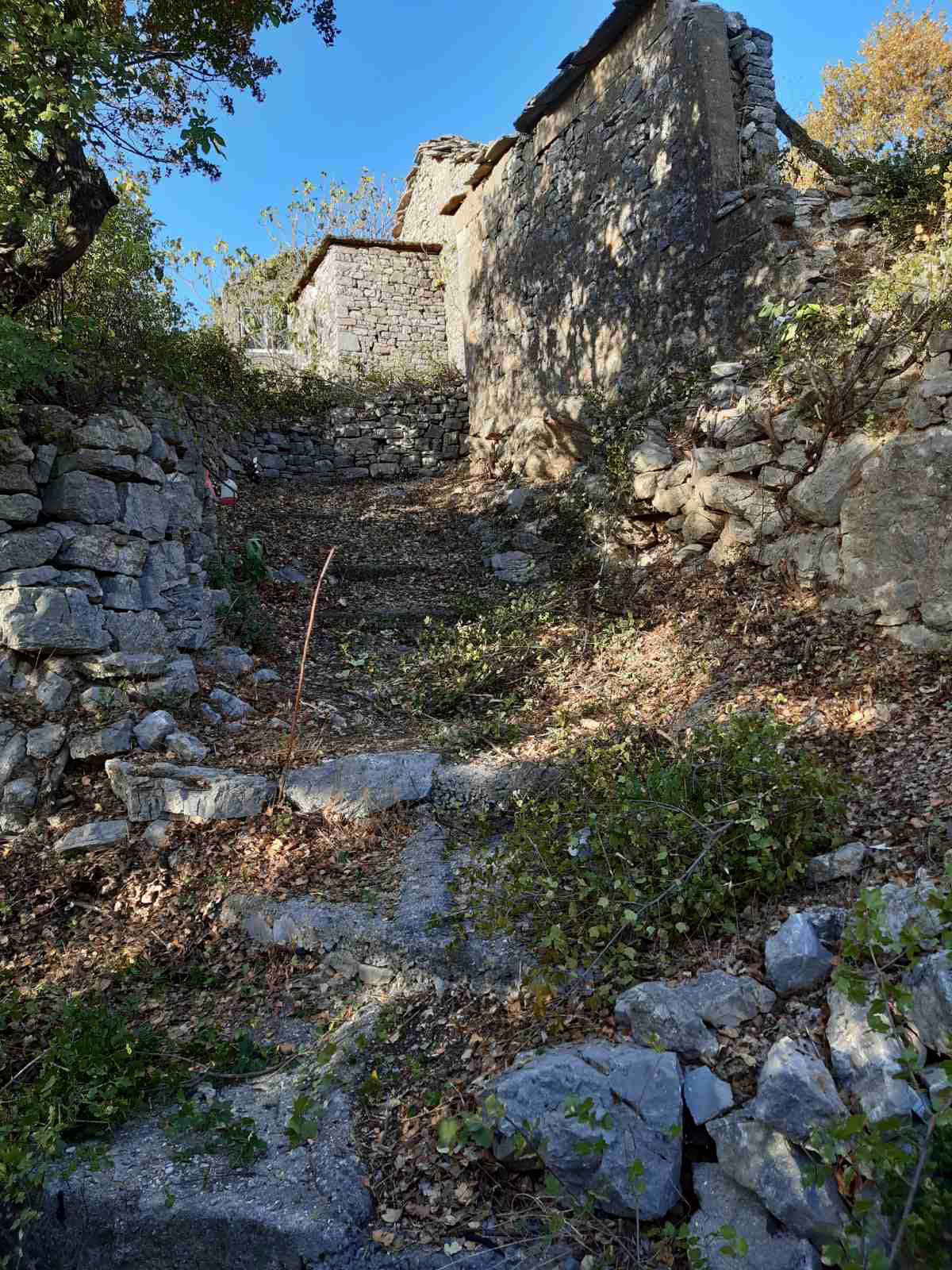 ΚΑΘΑΡΙΣΜΟΣ ΜΠΕΗ 04