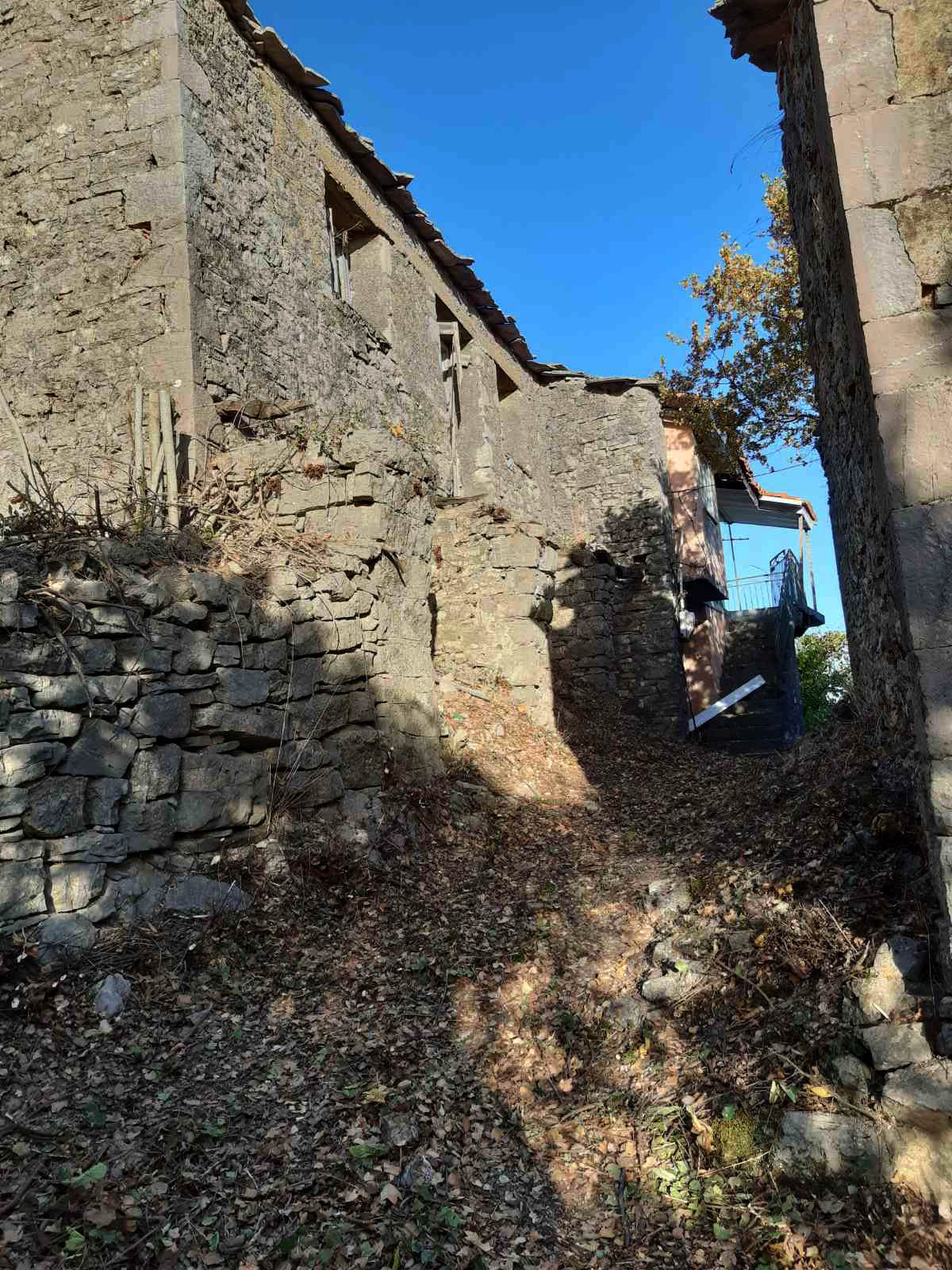 ΚΑΘΑΡΙΣΜΟΣ ΜΠΕΗ 05