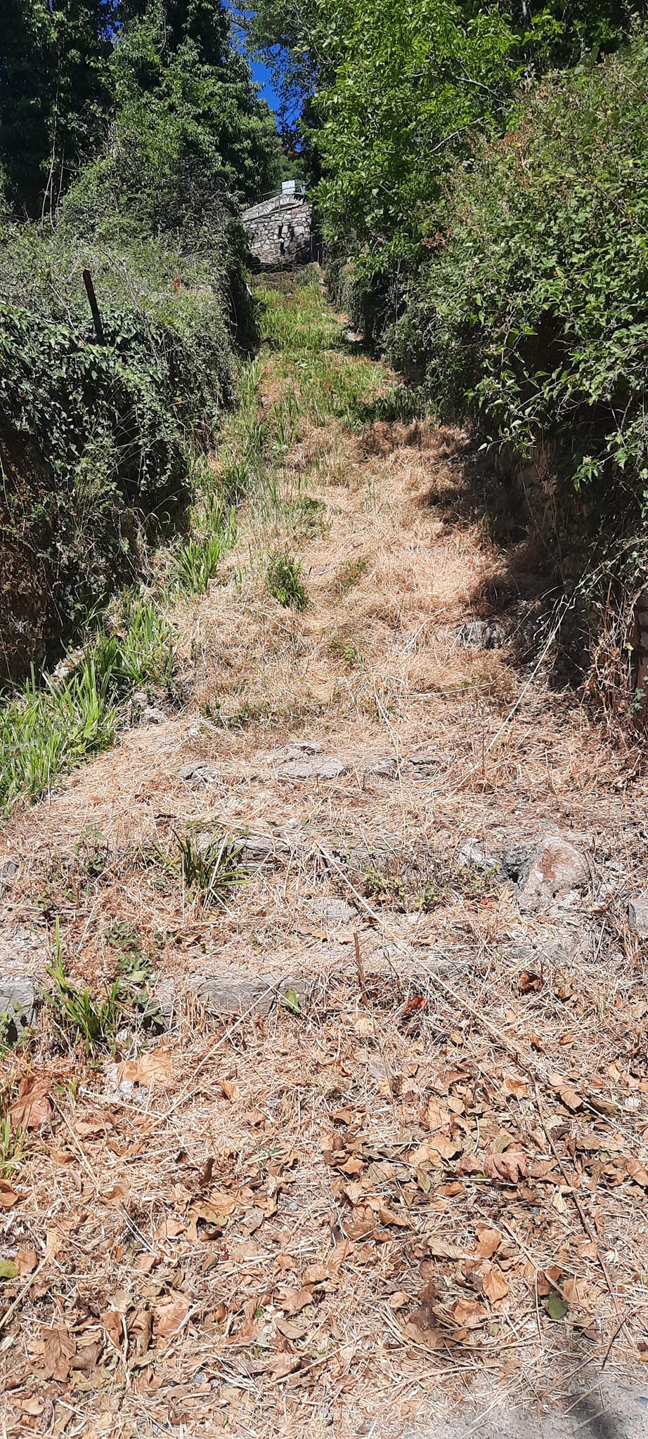 451045944 1705533003550710 5080311706286412870 n