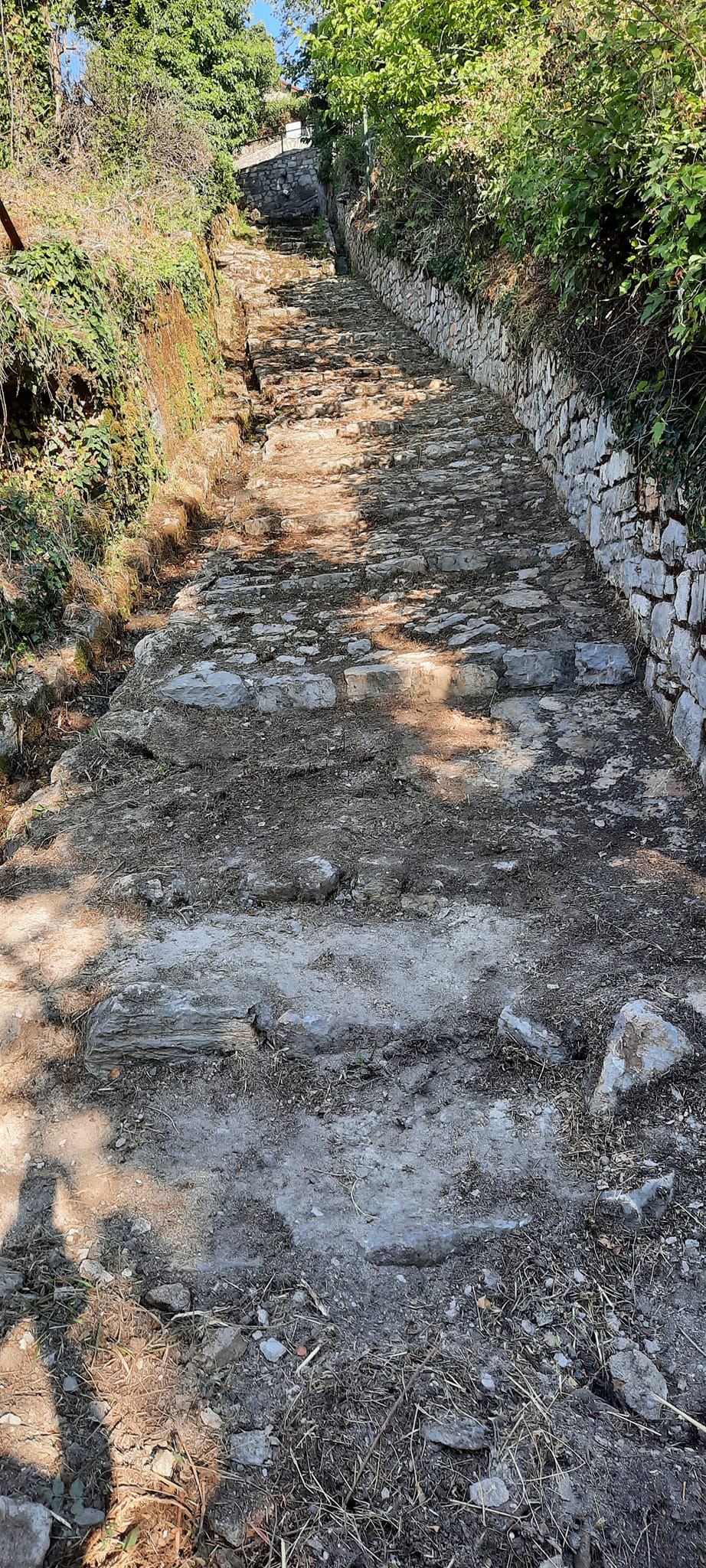 451260766 1705533276884016 9106865818378388123 n