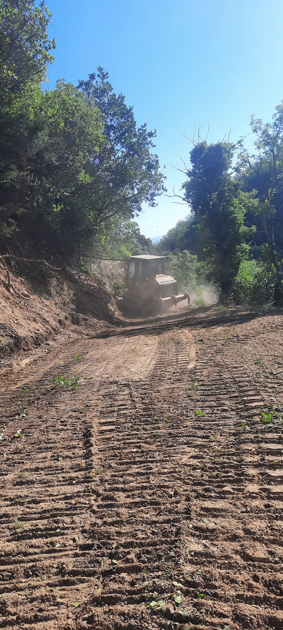 ΑΝΤΙΠΥΡΙΚΗ 00