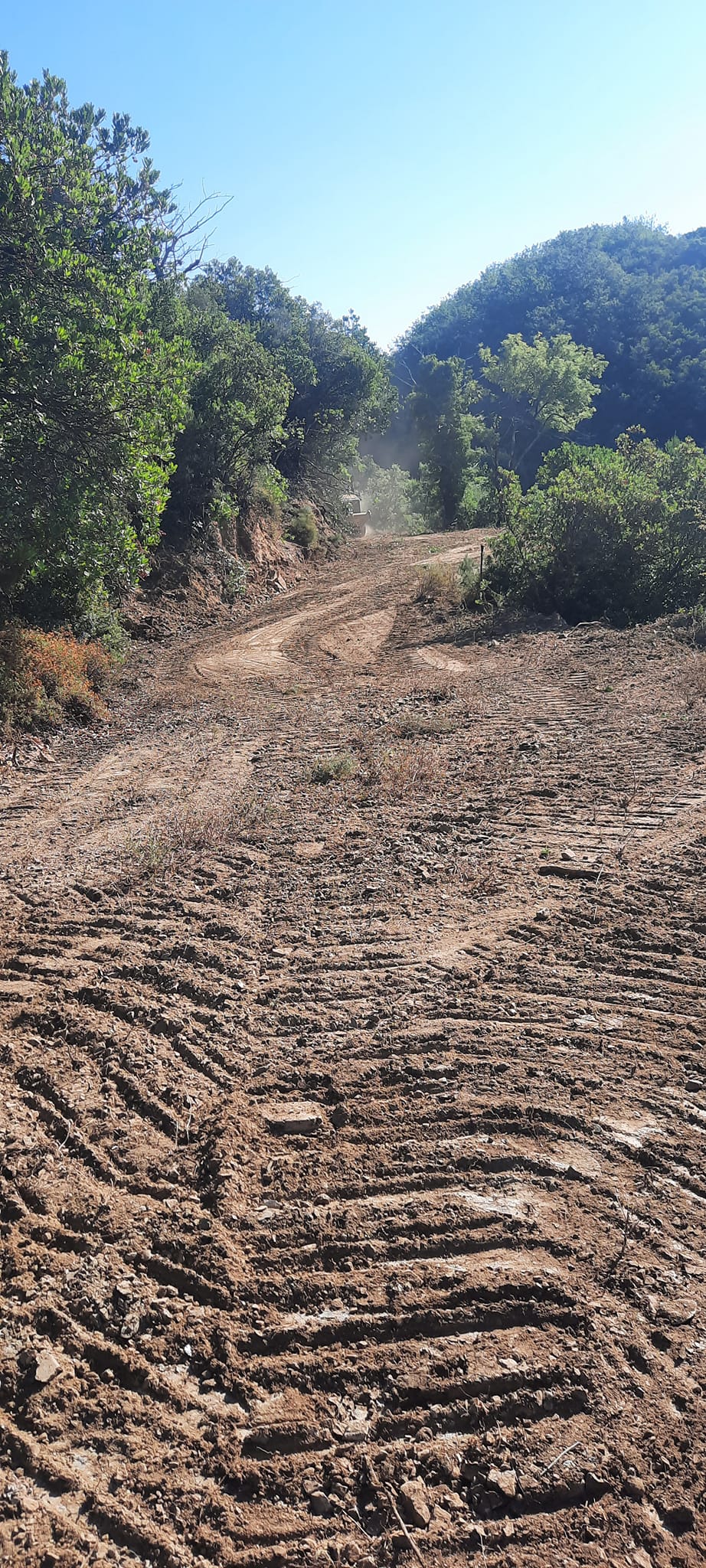 ΑΝΤΙΠΥΡΙΚΗ 01