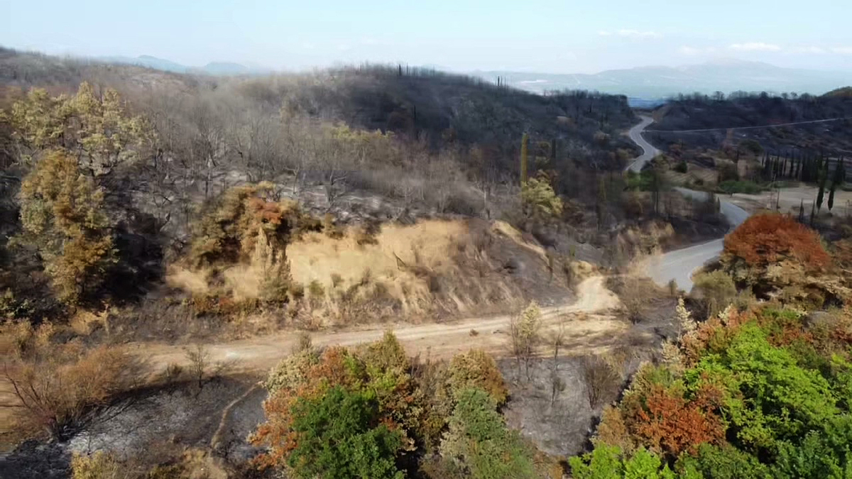 2021 08 14 17 31 36 KORYTES DRONE Moment3