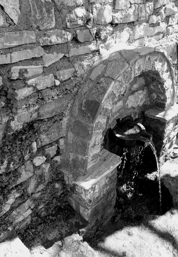 59465786 2172554779458510 2378472632765906944 n