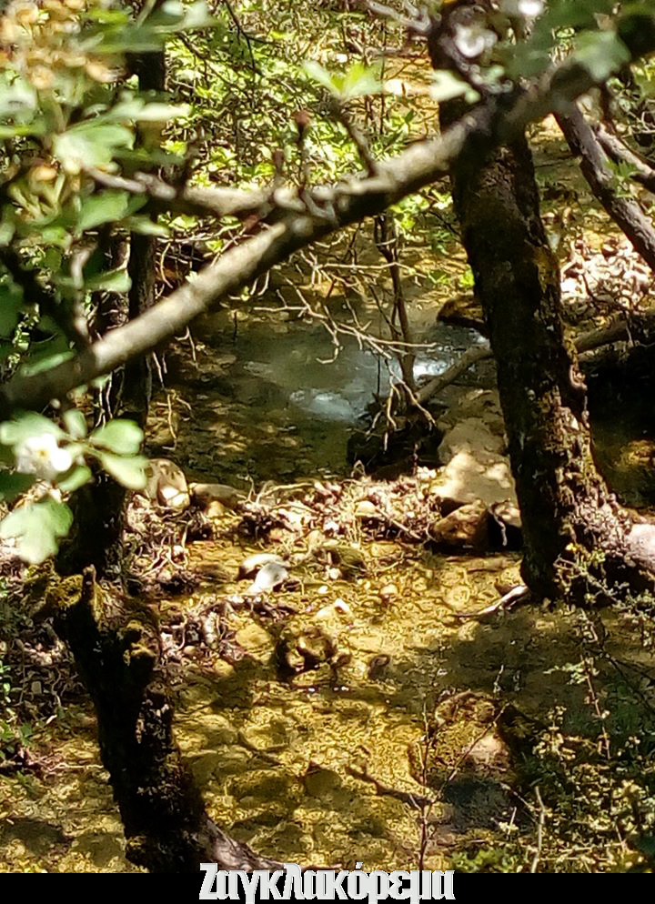 ΖΑΓΚΛΑΚΟΡΕΜΑ 00