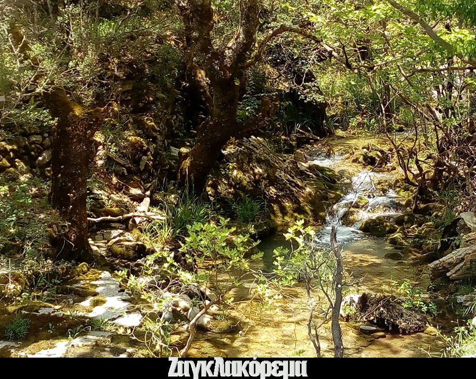 ΖΑΓΚΛΑΚΟΡΕΜΑ 01