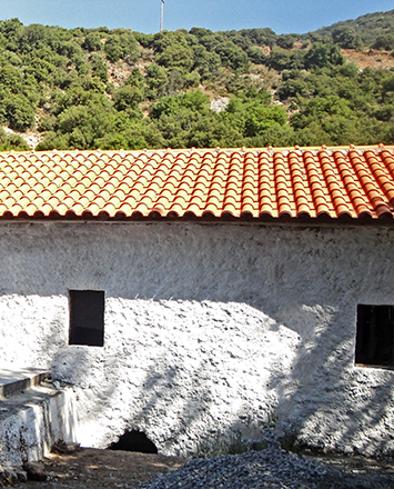 ΚΟΡΥΤΑ ΑΓ. ΒΑΣΙΛΗ