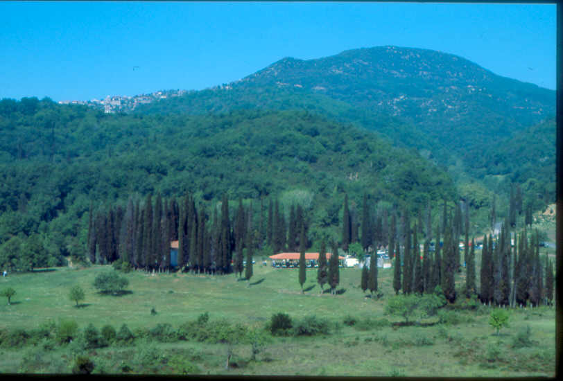 μάη Νικόλας