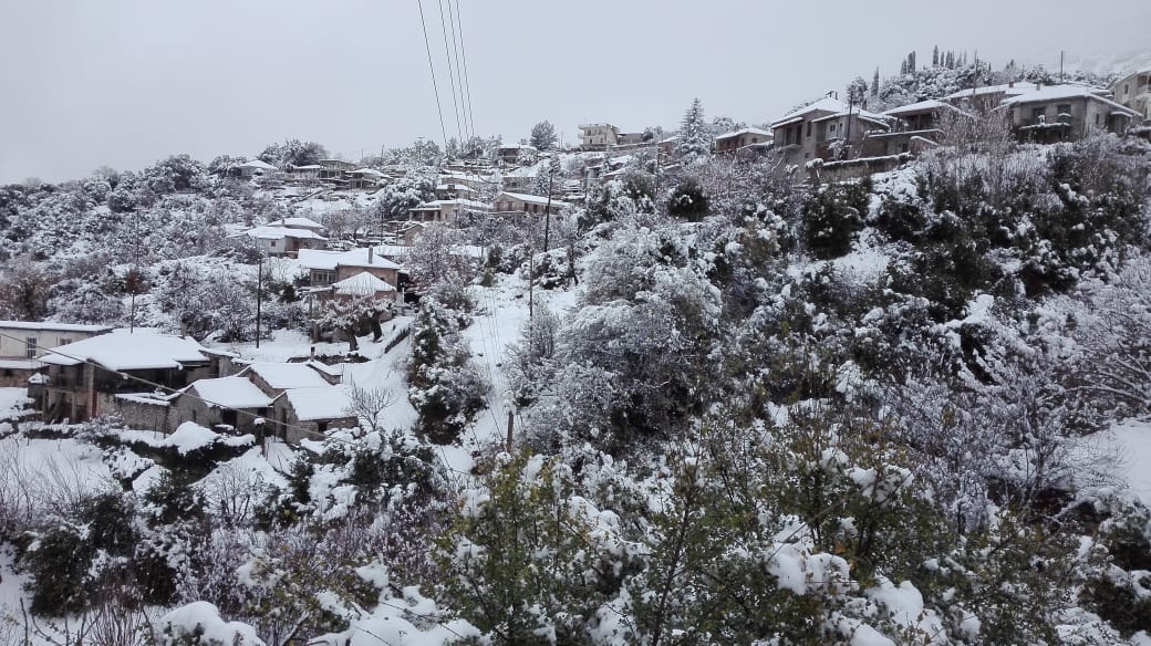 49461718 725389764511024 562533307233861632 n